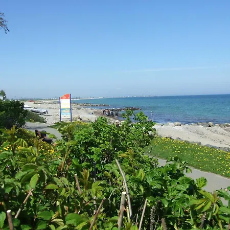 Wildrose * Schönhagen